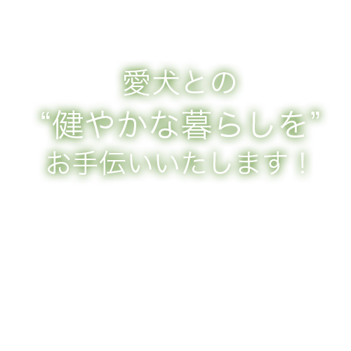 愛犬との“健やかな暮らしを”お手伝いいたします！